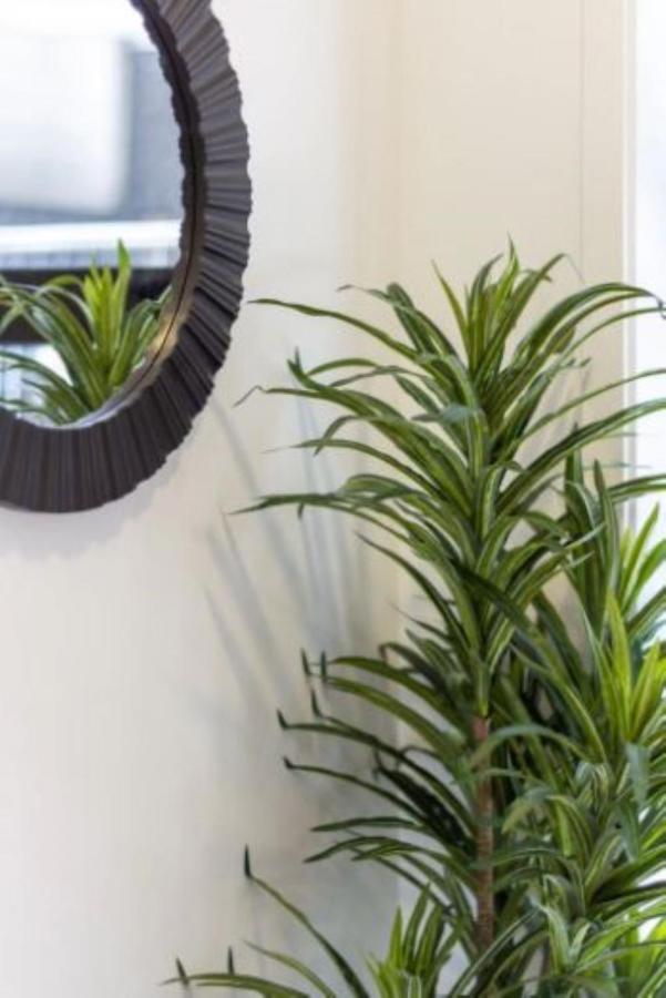 Serenity In The Centre: 2 Bed 2 Bath Christchurch Eksteriør billede